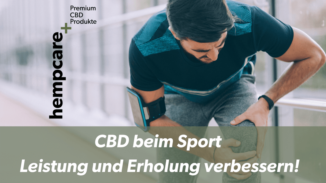CBD beim Sport: Leistung und Erholung verbessern