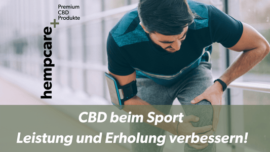 CBD beim Sport: Leistung und Erholung verbessern