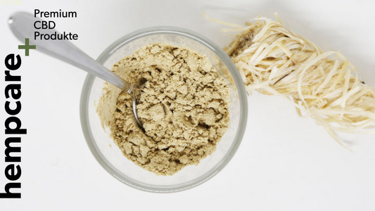 Hanfprotein - Die Biologische und vegane Alternative